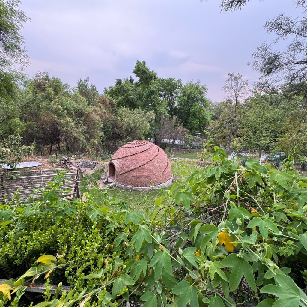 798f1137-3bba-407f-8df3-c78daf4fb4b3