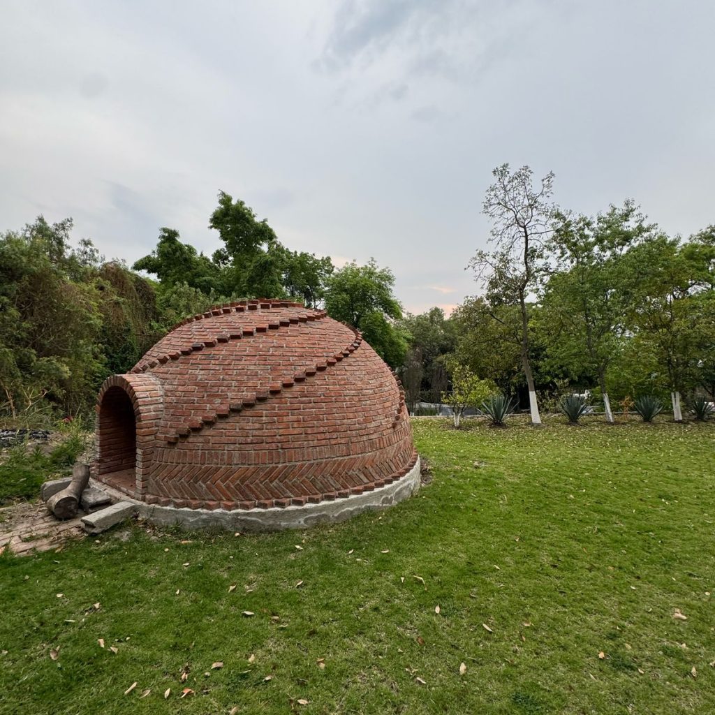 Imagen de WhatsApp 2025-02-18 a las 12.06.11_314d70fa